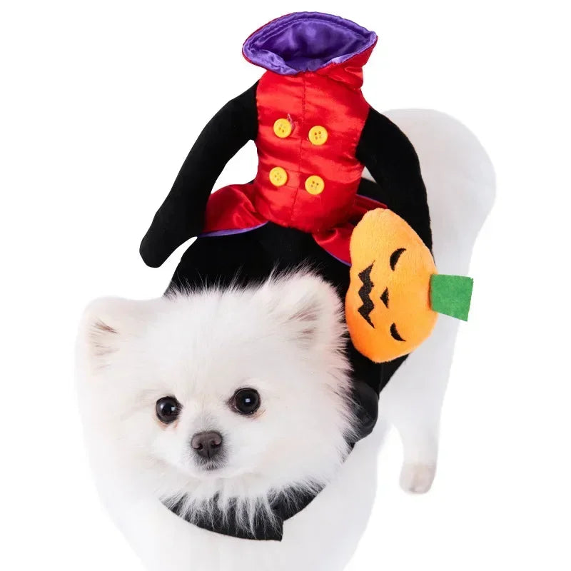 Disfraz Jinete de la Calabaza